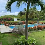 Tropical Garden