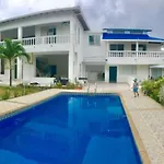 Tropical Garden