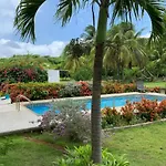 Tropical Garden