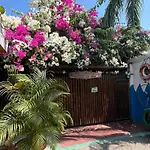 Posada Amaripucci