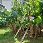 Hospedaje Belleza Isleña