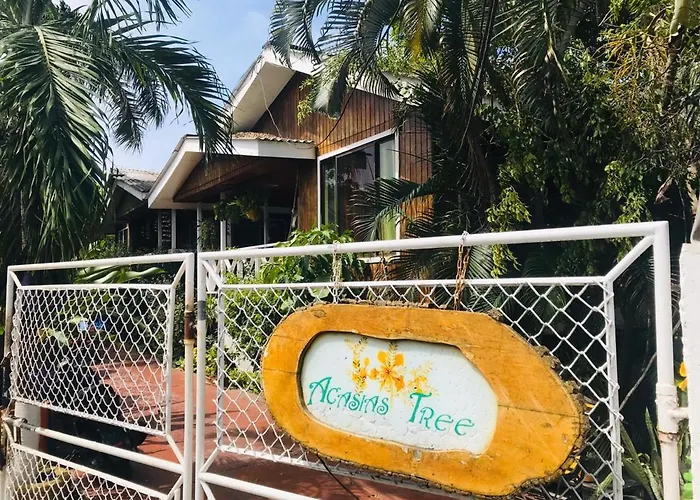 Villa Acacias Tree