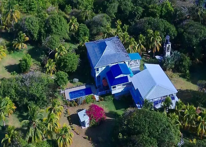 Tropical Garden