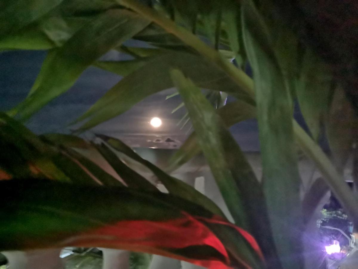Inn Turísticos Agua Luna San Andrés