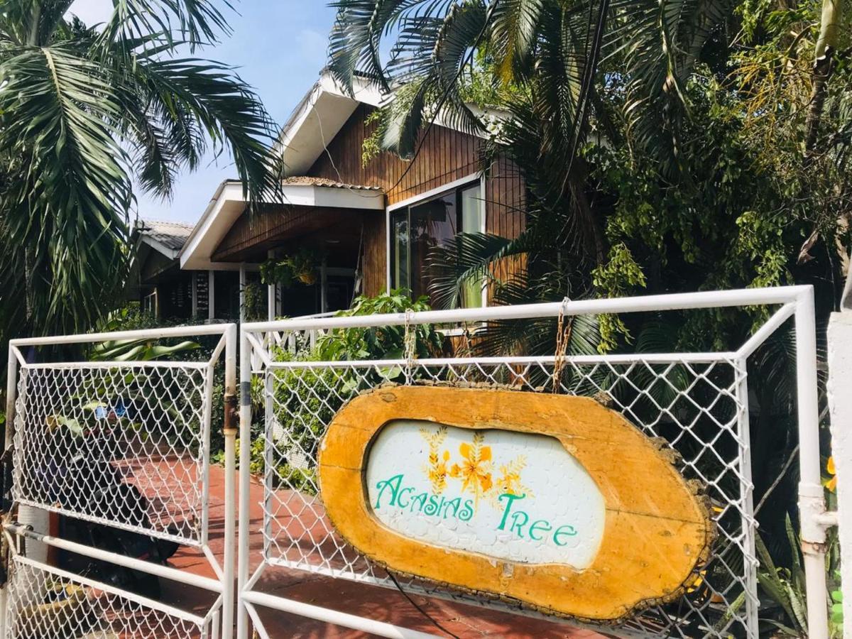 Acacias Tree Guest house San Andres (San Andres and Providencia Islands)