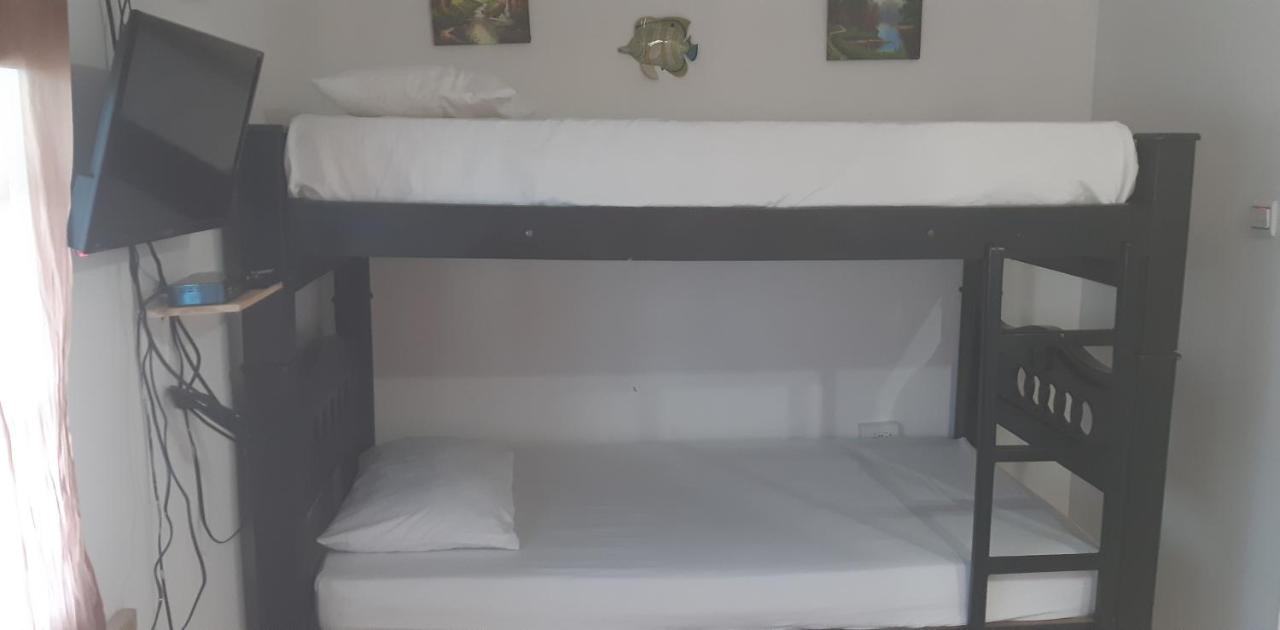 Hostal Nativa Miss Zelzel Place