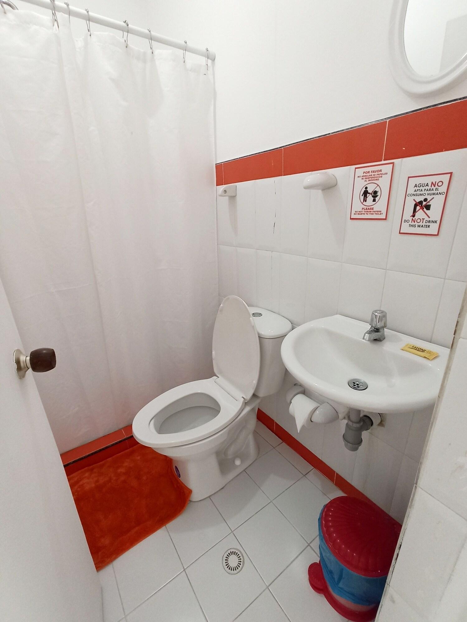 Hostal Nativa Lizard House *