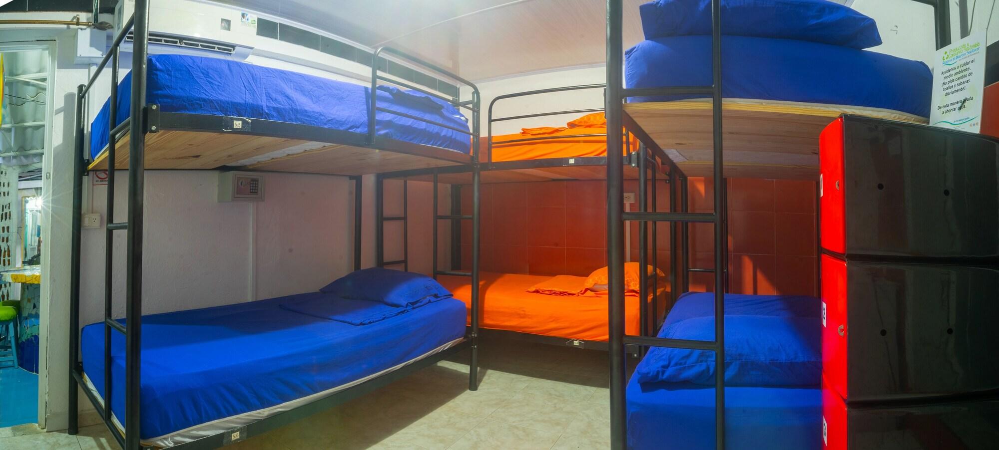 Hostal Nativa Lizard House