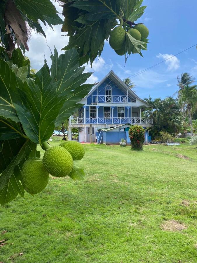 Islander House On Rocky Cay *