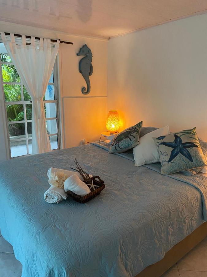 Islander House On Rocky Cay Inn San Andrés