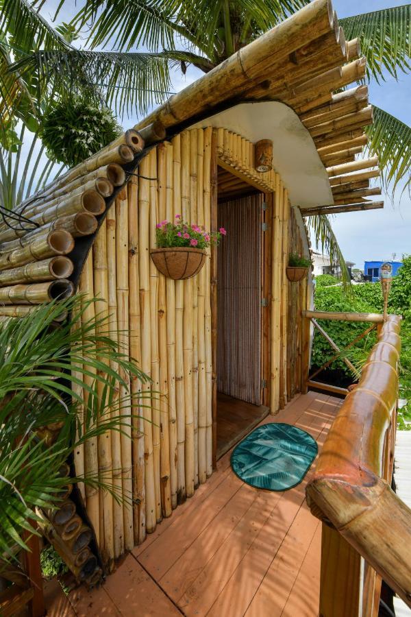 Amaripucci San Andres (San Andres and Providencia Islands)