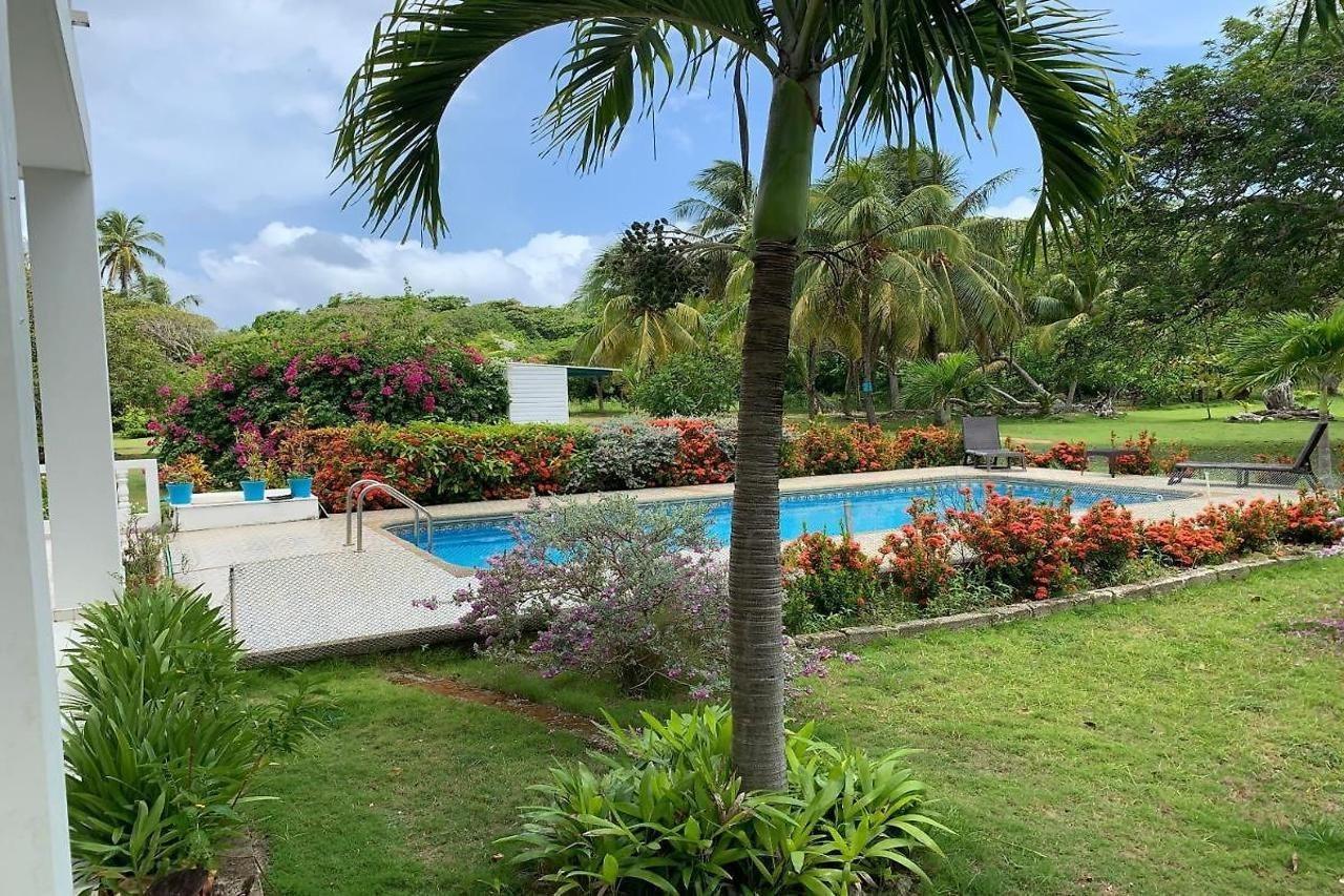 Villa Tropical Garden *