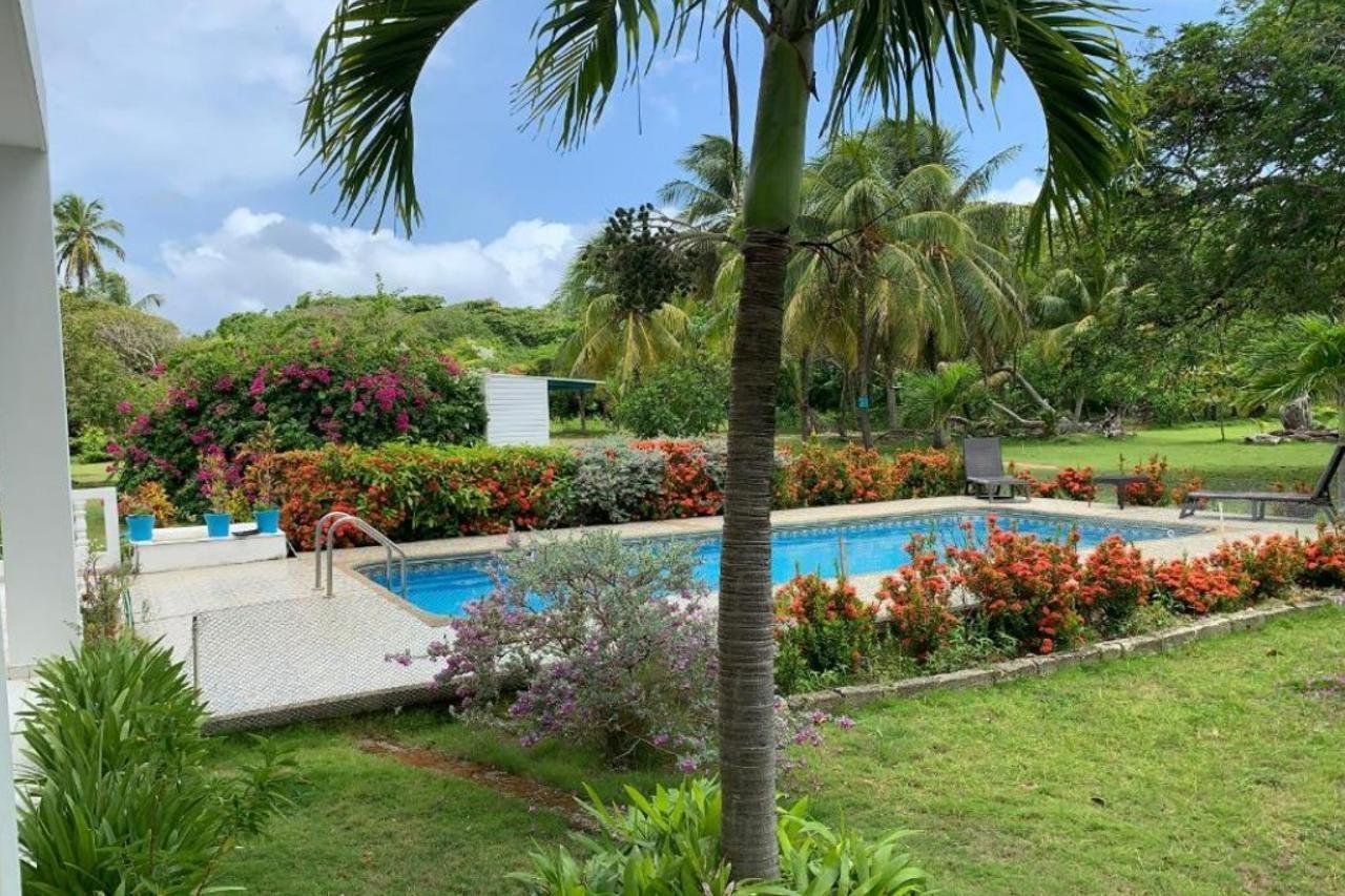 Tropical Garden * San Andrés