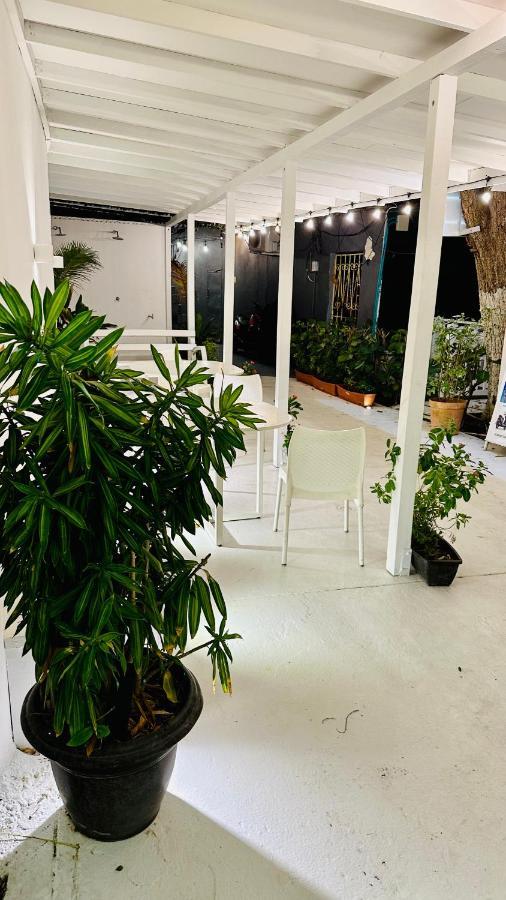 Di House - Privada Apartamento San Andrés