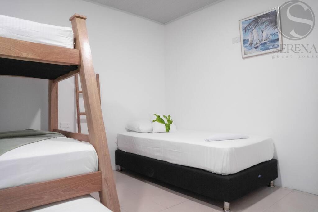 Serena Beach Apartamento