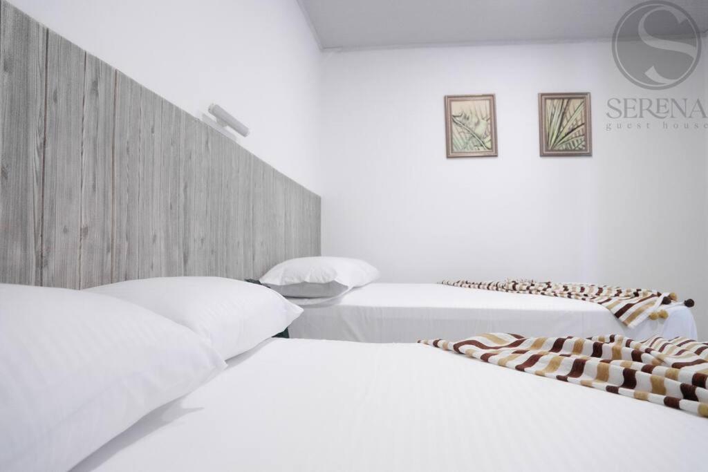 Apartamento Serena Beach