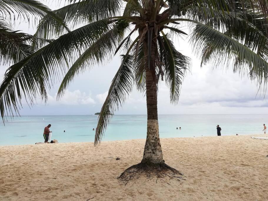 Apartamento Frente A La Mejor Playa De La Isla: Vista Hermosa