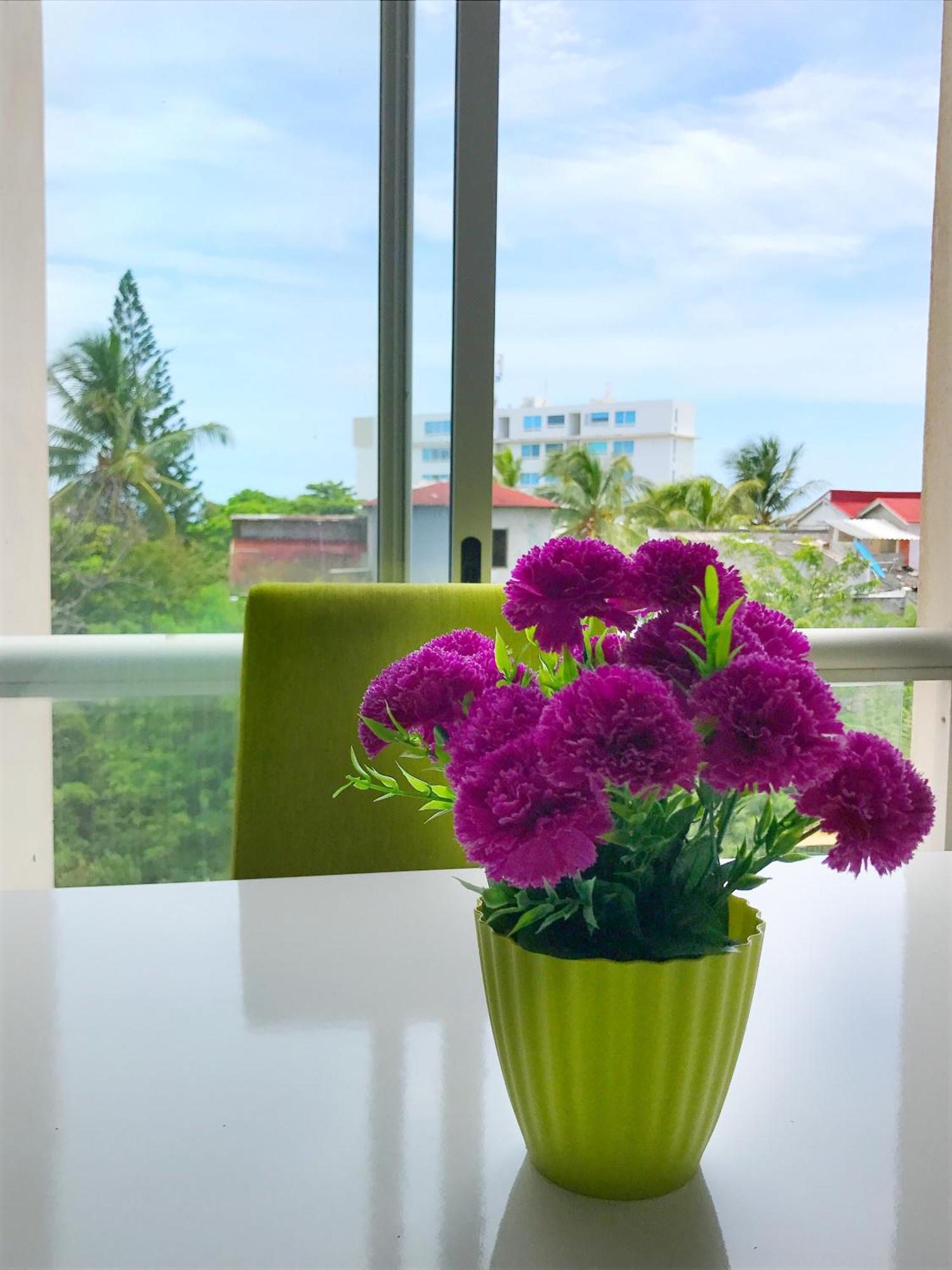 Flowers By Vr San Andrés