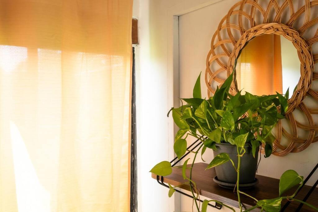 Apartamento Turisticos - Boho Sai