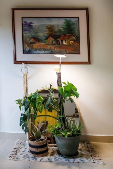 Turisticos - Boho Sai Apartamento *