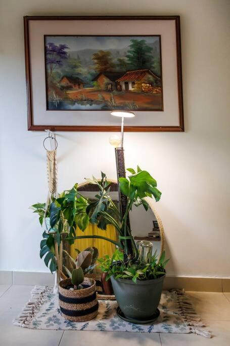 Turisticos - Boho Sai Apartamento