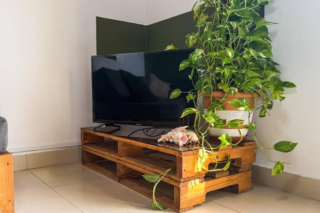 Turisticos - Boho Sai Apartamento