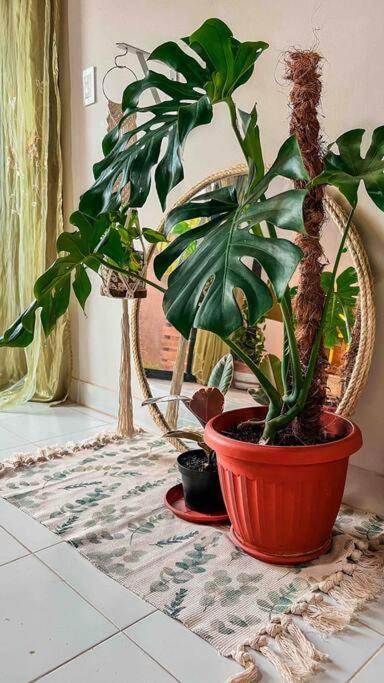 Apartamento Turisticos - Boho Sai