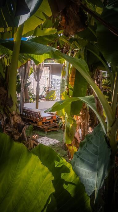 Apartamento Turisticos - Boho Sai San Andrés