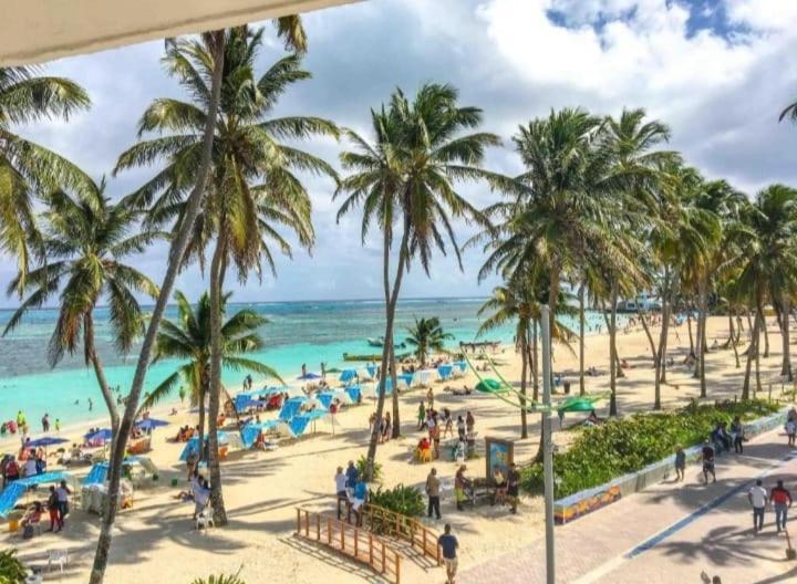 Vive Centro San Andrés