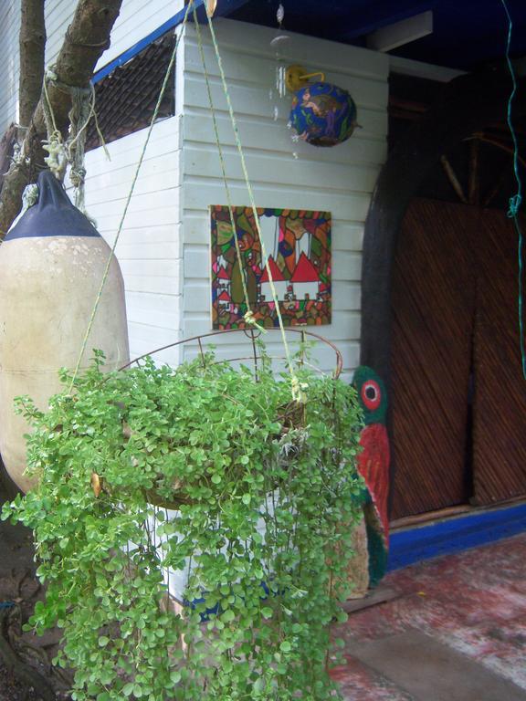 Carson's Place * San Andrés