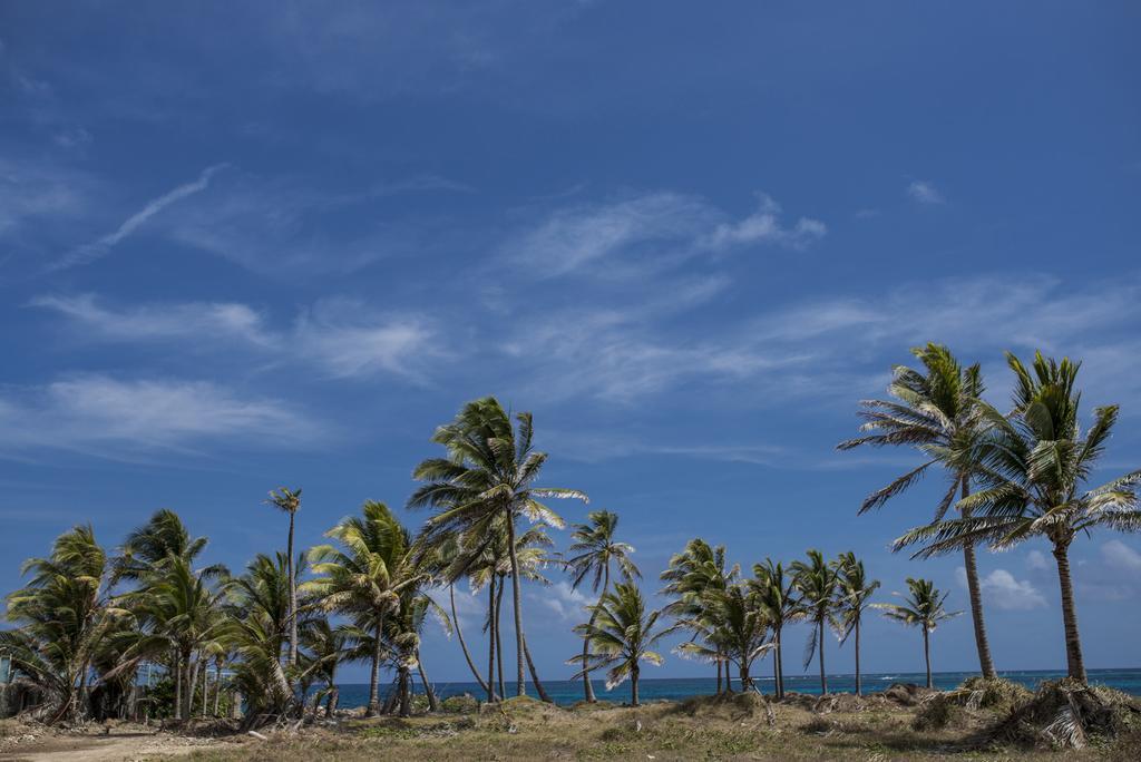 Sarie Bay * San Andrés