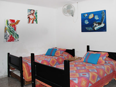 Hostal Nativa Lizard House *