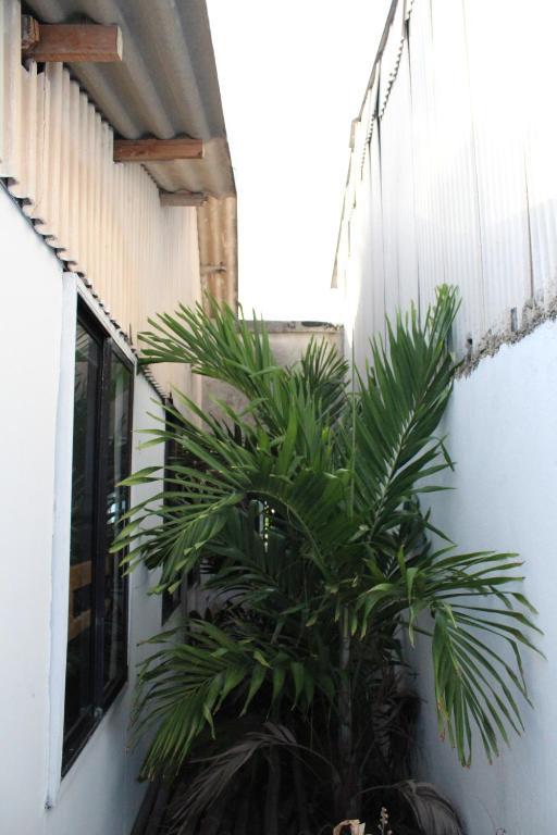 Blue Almond - Hostel *