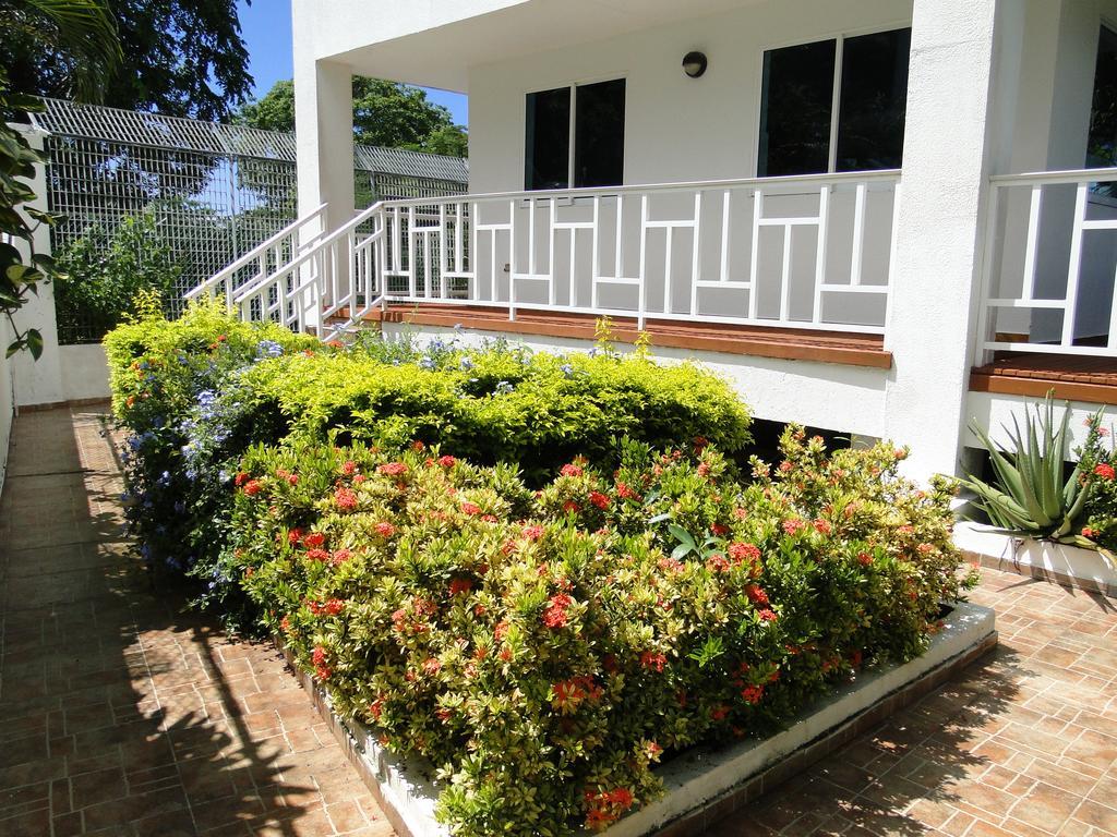 Guest house Casa Loft 3*