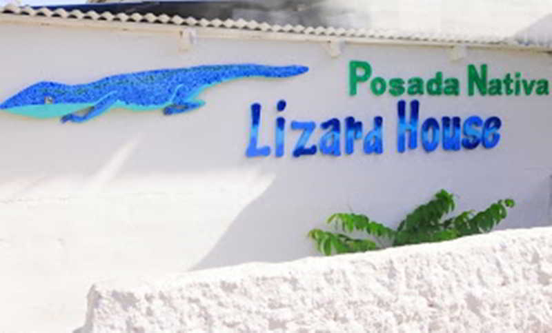 Nativa Lizard House *