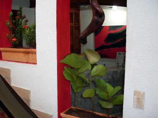 Red Cay Hotel San Andrés