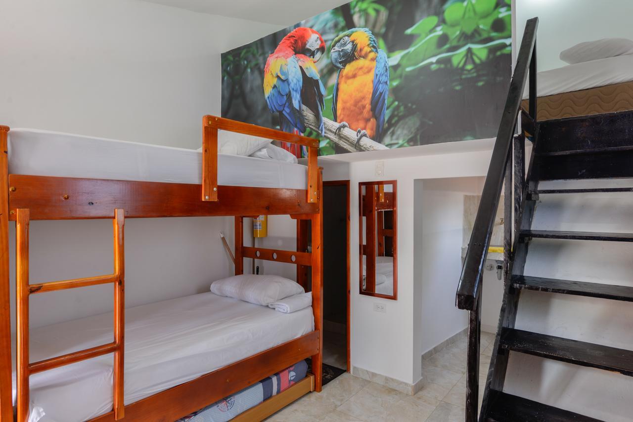 Hotel Amaripucci 2*