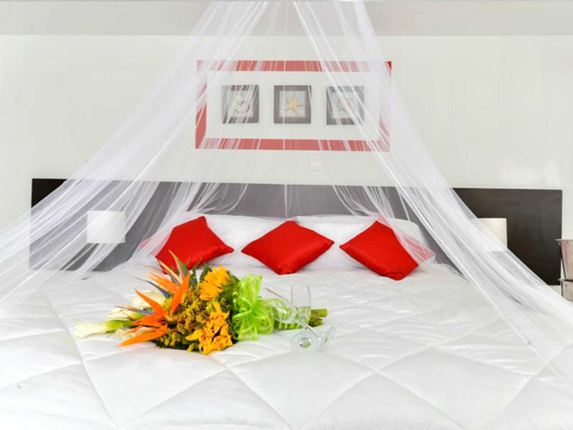 Portofino Hotel 3*