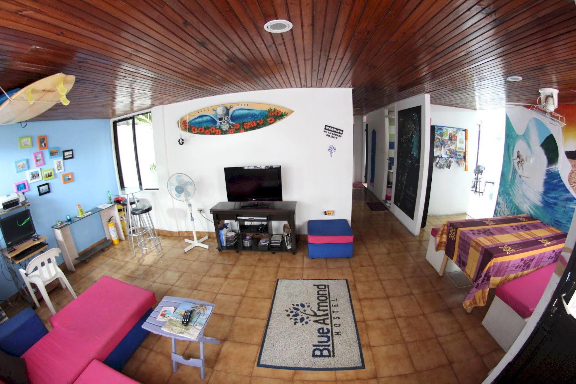 Blue Almond - Hostel *