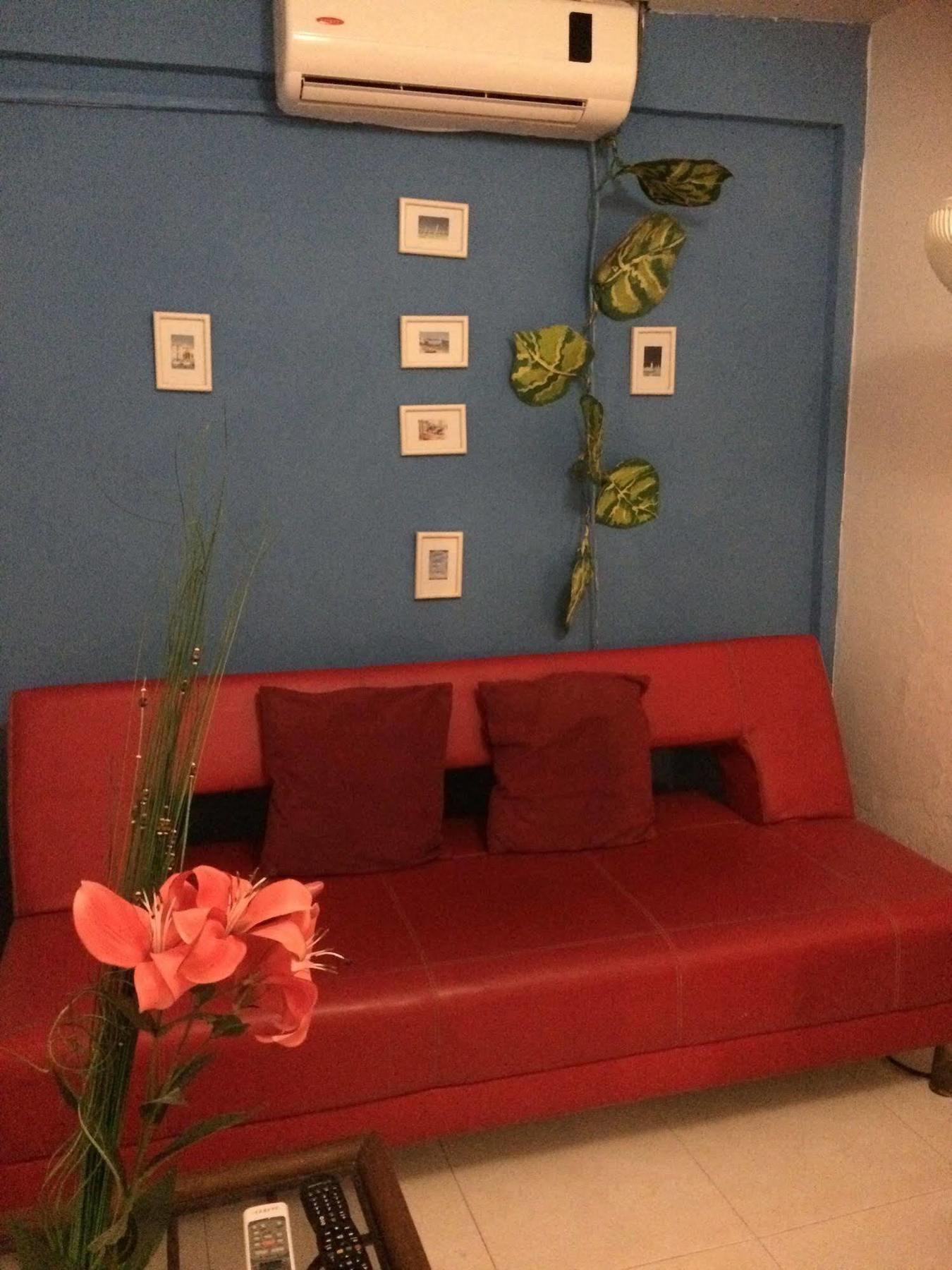 Nativa Lizard House *
