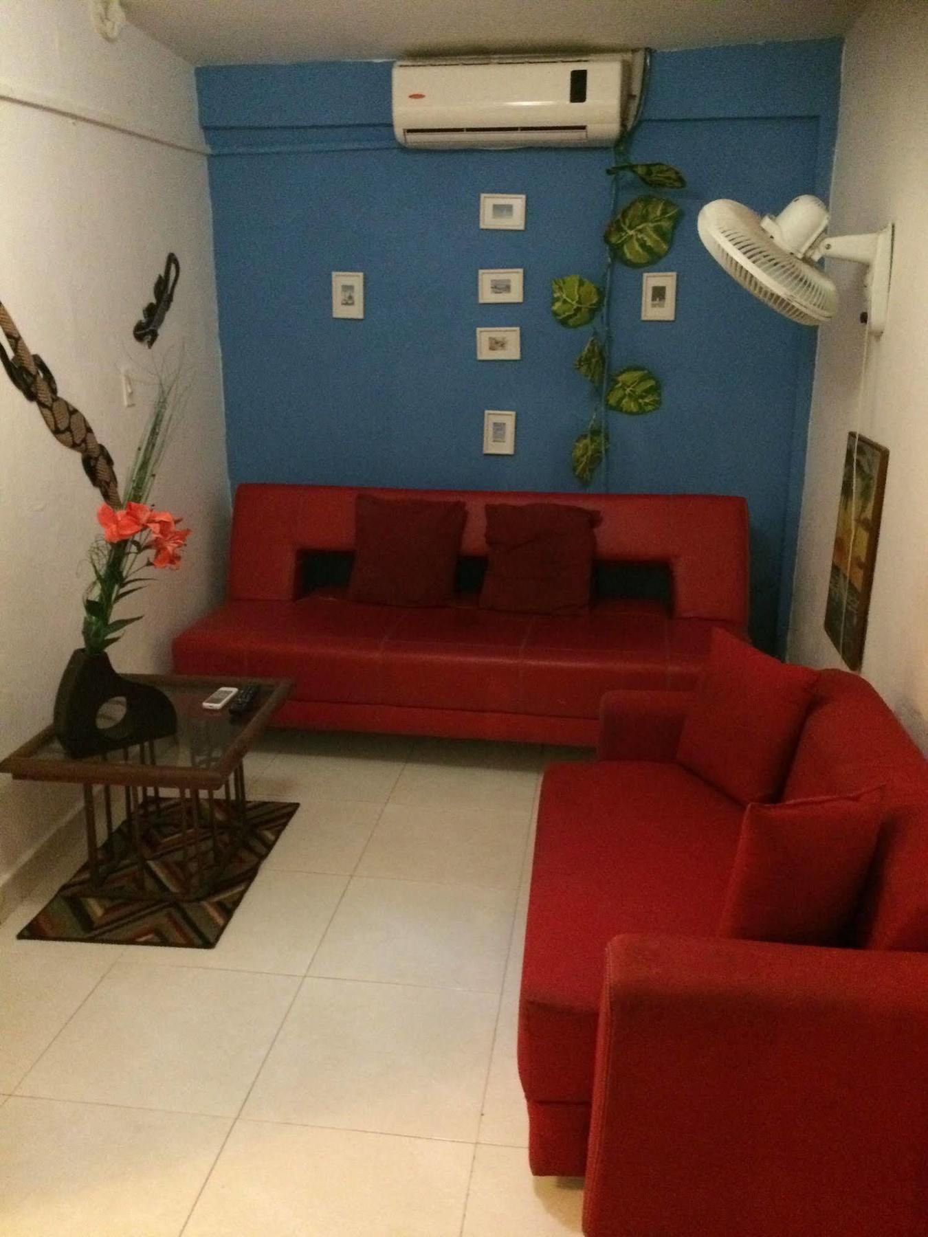 Hostal Nativa Lizard House