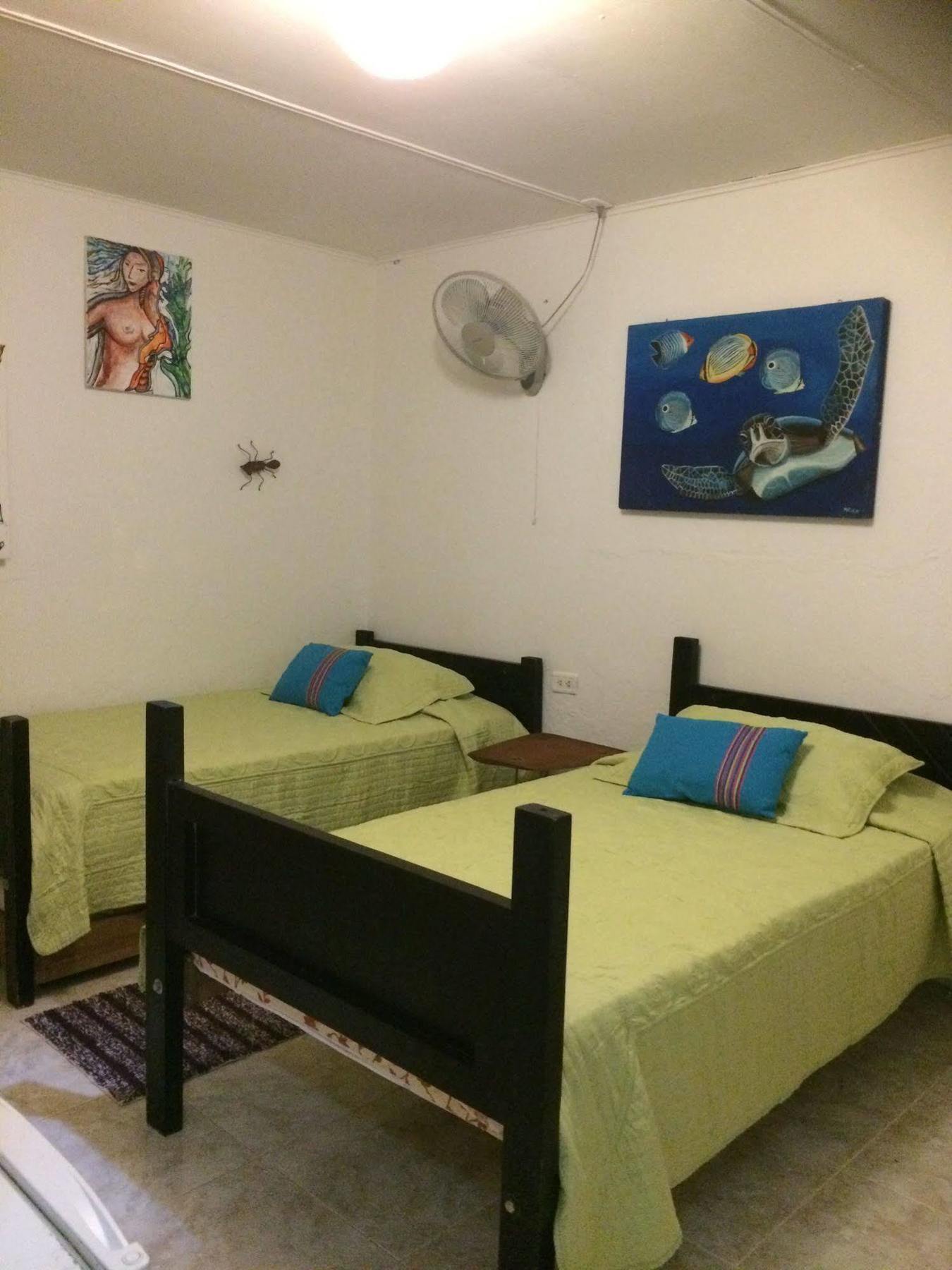 Nativa Lizard House Hostal