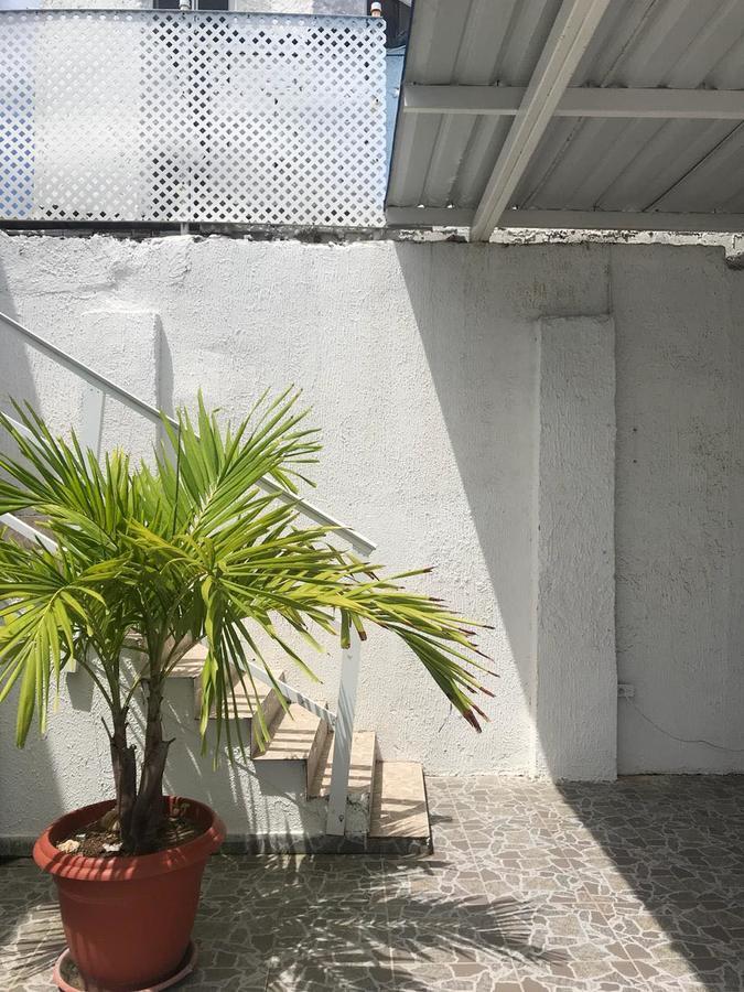 Tropical Dreams 2*