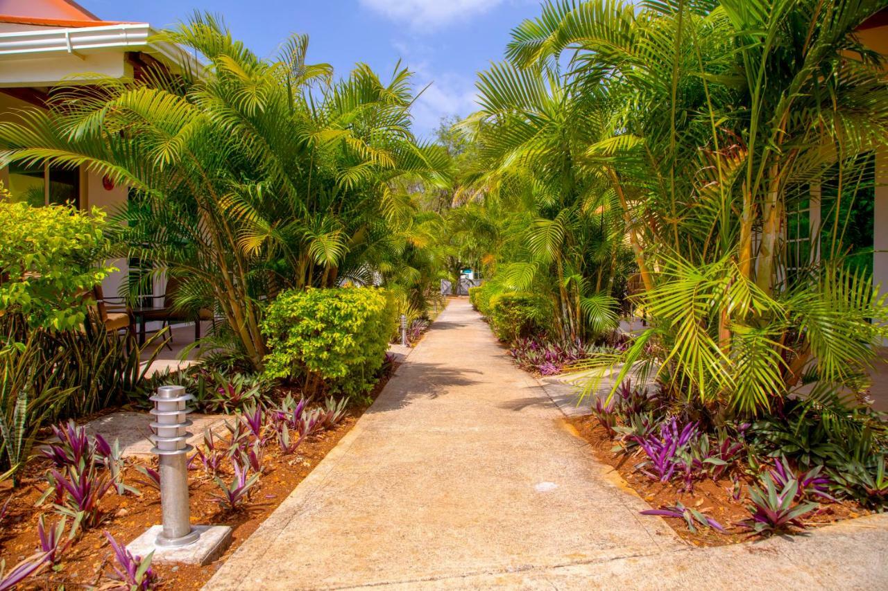 Hotel Solare Sai Ecohotel (adults Only)