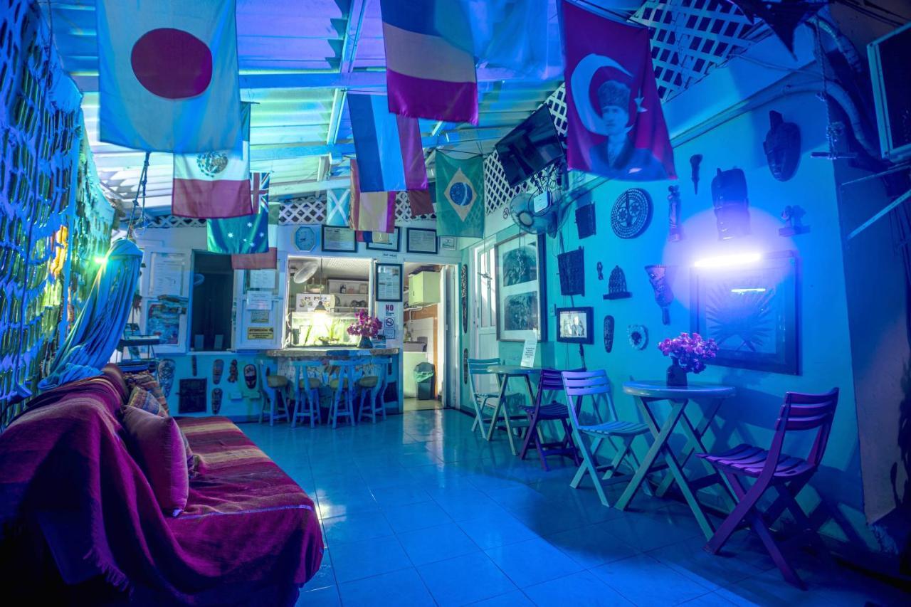 Nativa Lizard House Hostal