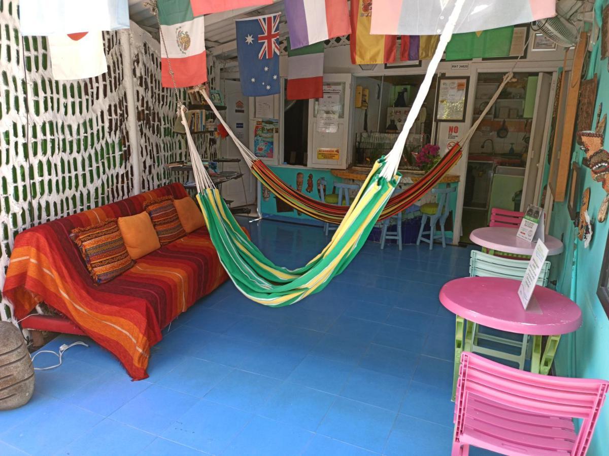 Hostal Nativa Lizard House *