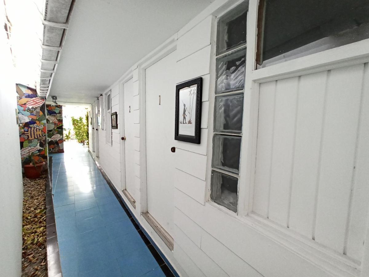 Nativa Lizard House Hostal