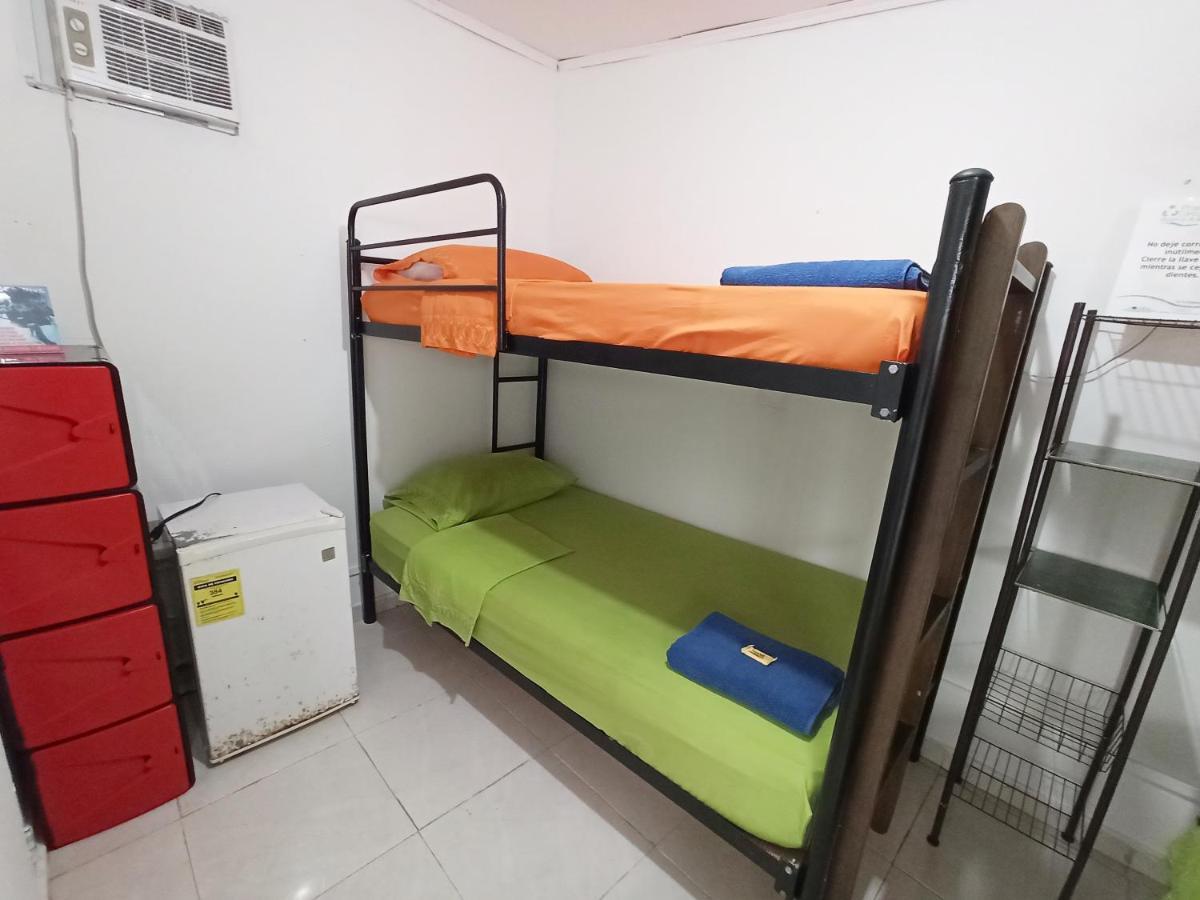 Hostal Nativa Lizard House *