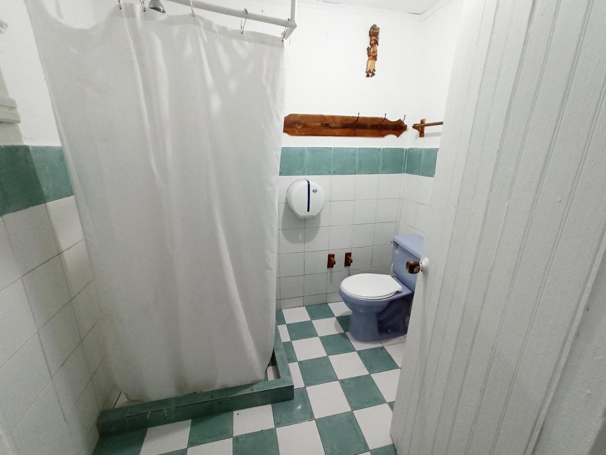 Nativa Lizard House Hostal