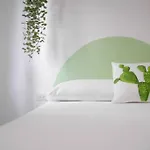 Serena Guest House